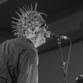 Click to enlarge GutterPunk - Professional Concert Photography